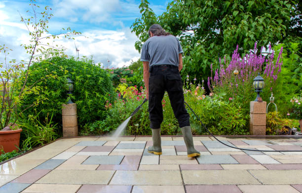 Best Animal Enclosure Cleaning  in North Muskegon, MI
